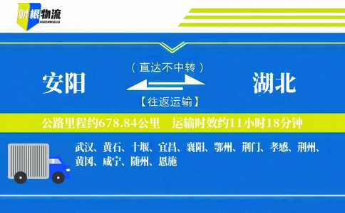 安阳到湖北物流公司