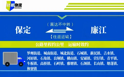 保定到廉江物流公司