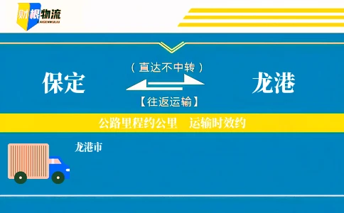 保定到龙港物流公司