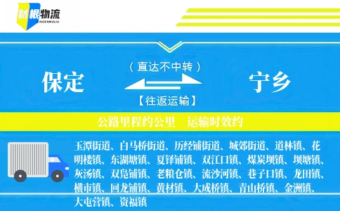 保定到宁乡物流公司