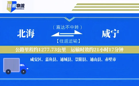 北海到咸宁物流公司