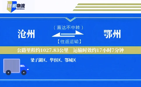 沧州到鄂州物流公司
