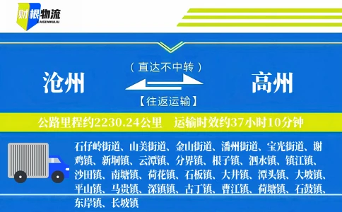 沧州到高州物流公司