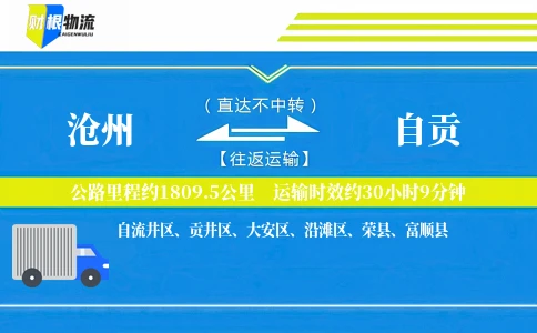 沧州到自贡物流公司