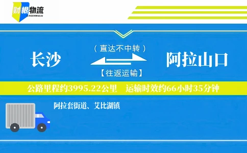 长沙到阿拉山口物流公司
