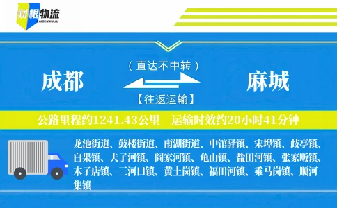 成都到麻城物流公司