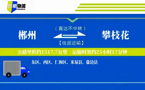 郴州到攀枝花物流公司