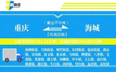 重庆到海城物流公司