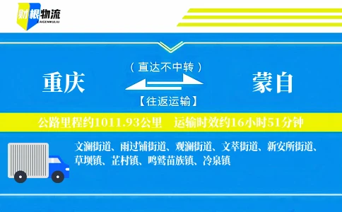 重庆到蒙自物流公司