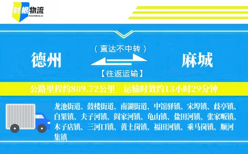 德州到麻城物流公司