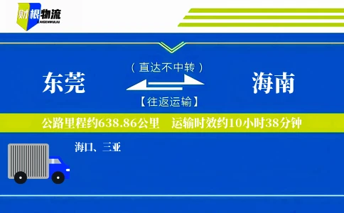 东莞到海南物流公司