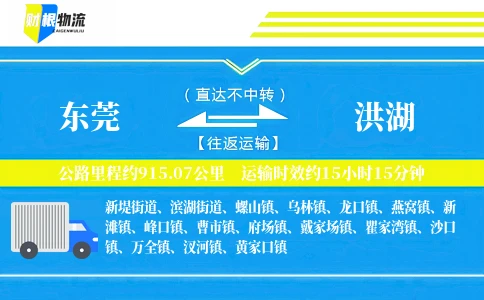 东莞到洪湖物流公司