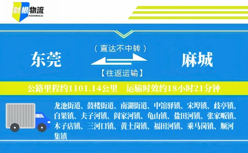 东莞到麻城物流公司