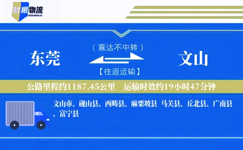 东莞到文山物流公司