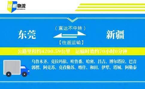 东莞到新疆物流公司