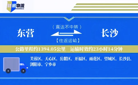 东营到长沙物流公司