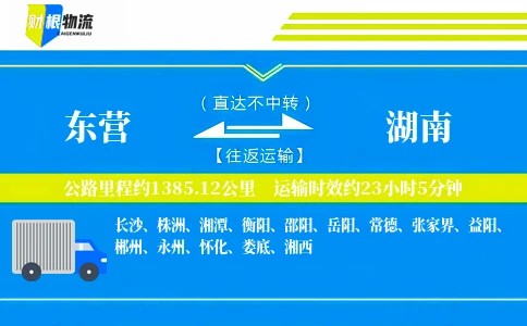 东营到湖南物流公司