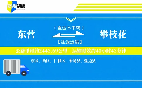 东营到攀枝花物流公司