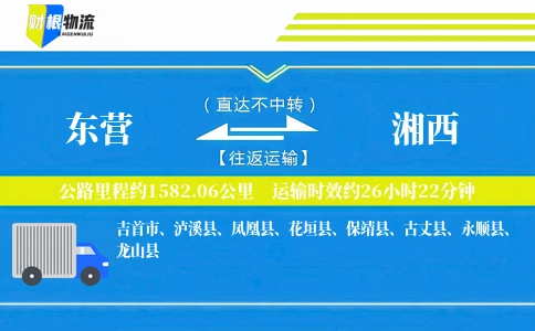 东营到湘西物流公司