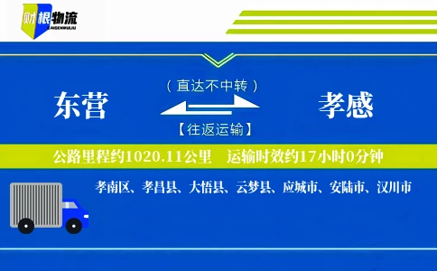 东营到孝感物流公司