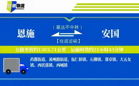 恩施到安国物流公司