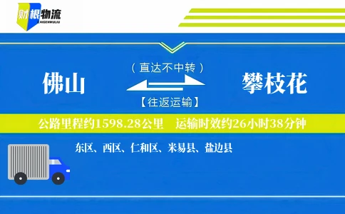 佛山到攀枝花物流公司