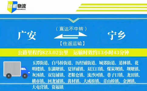 广安到宁乡物流公司