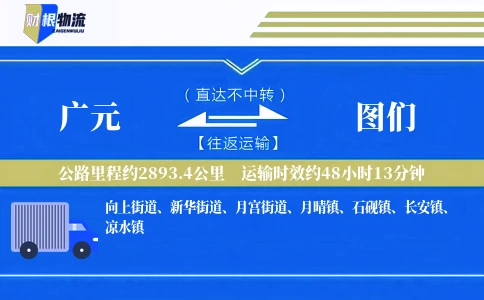 广元到图们物流公司