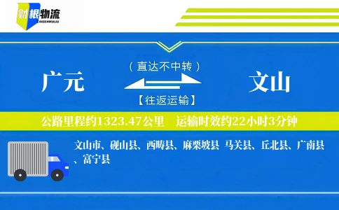 广元到文山物流公司