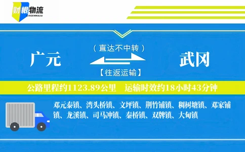 广元到武冈物流公司