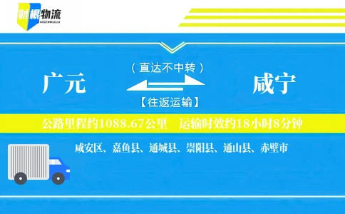 广元到咸宁物流公司