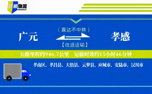 广元到孝感物流公司