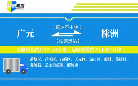 广元到株洲物流公司