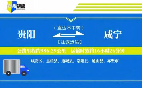 贵阳到咸宁物流公司