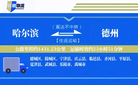 哈尔滨到德州物流公司