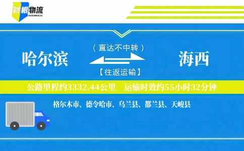 哈尔滨到海西物流公司