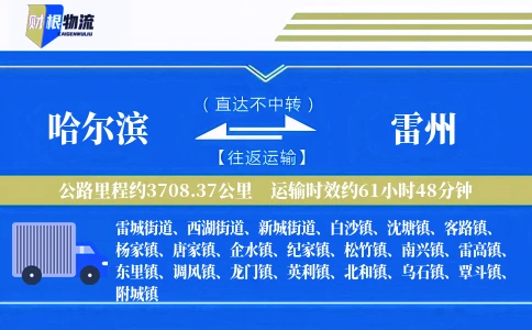 哈尔滨到雷州物流公司