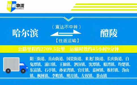 哈尔滨到醴陵物流公司