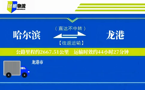 哈尔滨到龙港物流公司