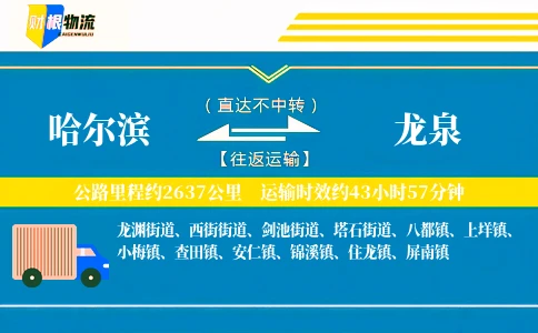 哈尔滨到龙泉物流公司