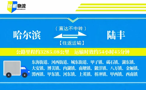哈尔滨到陆丰物流公司