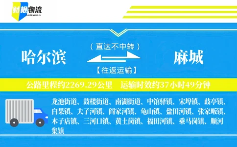 哈尔滨到麻城物流公司