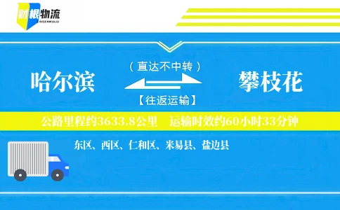 哈尔滨到攀枝花物流公司