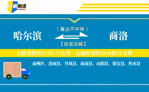 哈尔滨到商洛物流公司