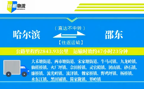 哈尔滨到邵东物流公司