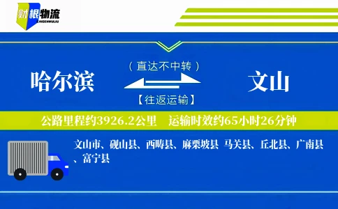 哈尔滨到文山物流公司