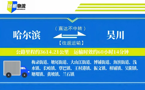 哈尔滨到吴川物流公司