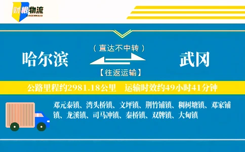 哈尔滨到武冈物流公司