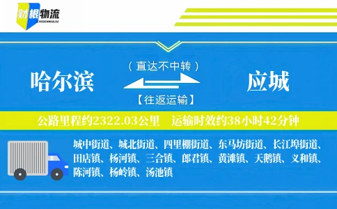 哈尔滨到应城物流公司