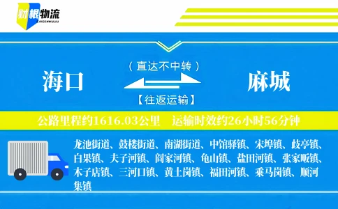 海口到麻城物流公司